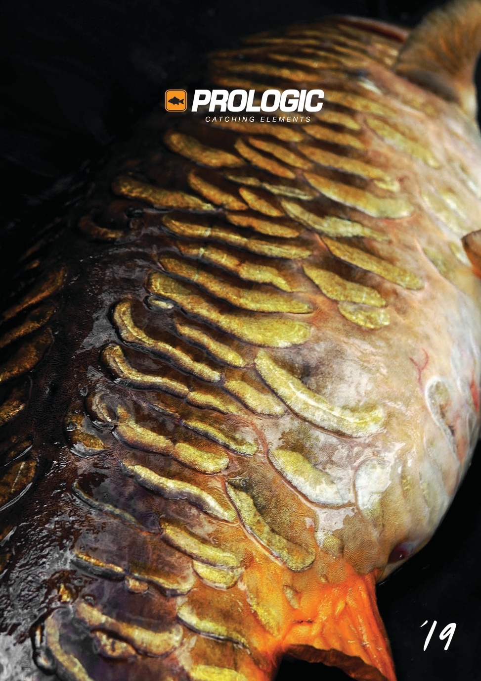 Details about   PROLOGIC 2013 Fishing Catalogue Alarms etc NEW Reels Rods Carp 