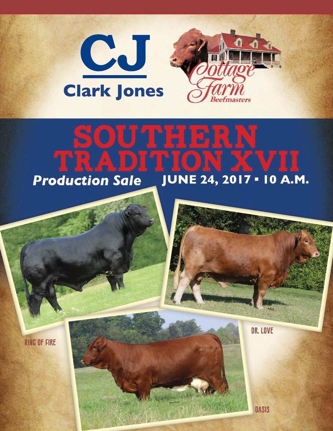 Southern Tradition Xvii Bfm Sale