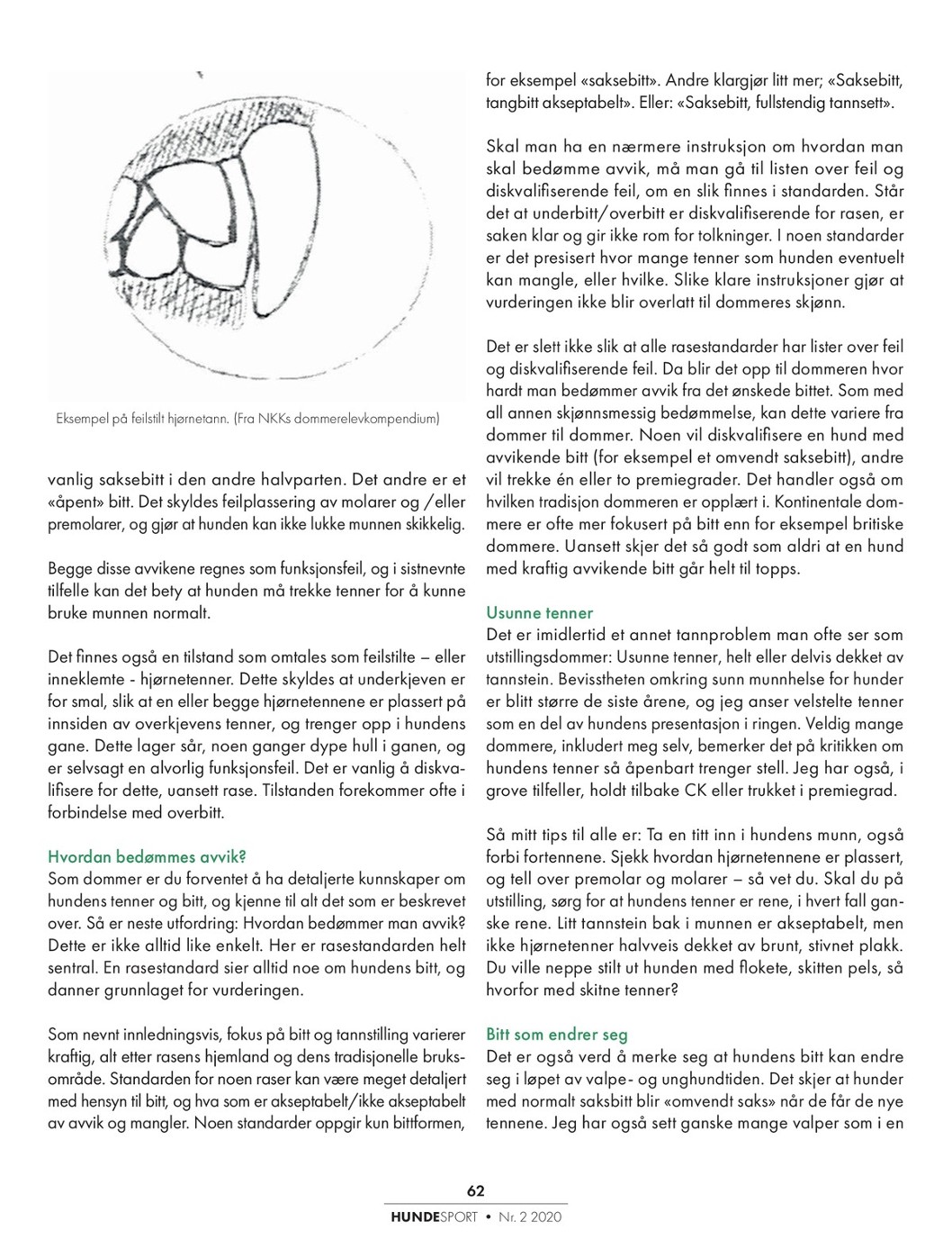 Halloween/jul kjæledyr lue kjæledyr kostyme tilbeh... – Vicedeal, image size:1058x1376