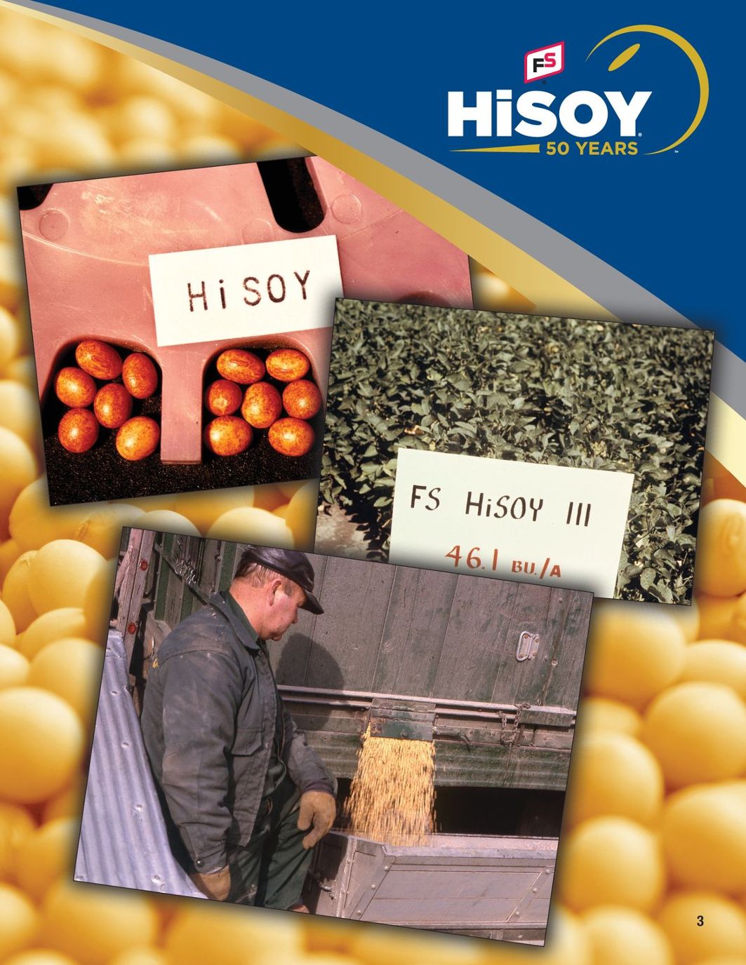 Fs Seed Catalog Catalog Library