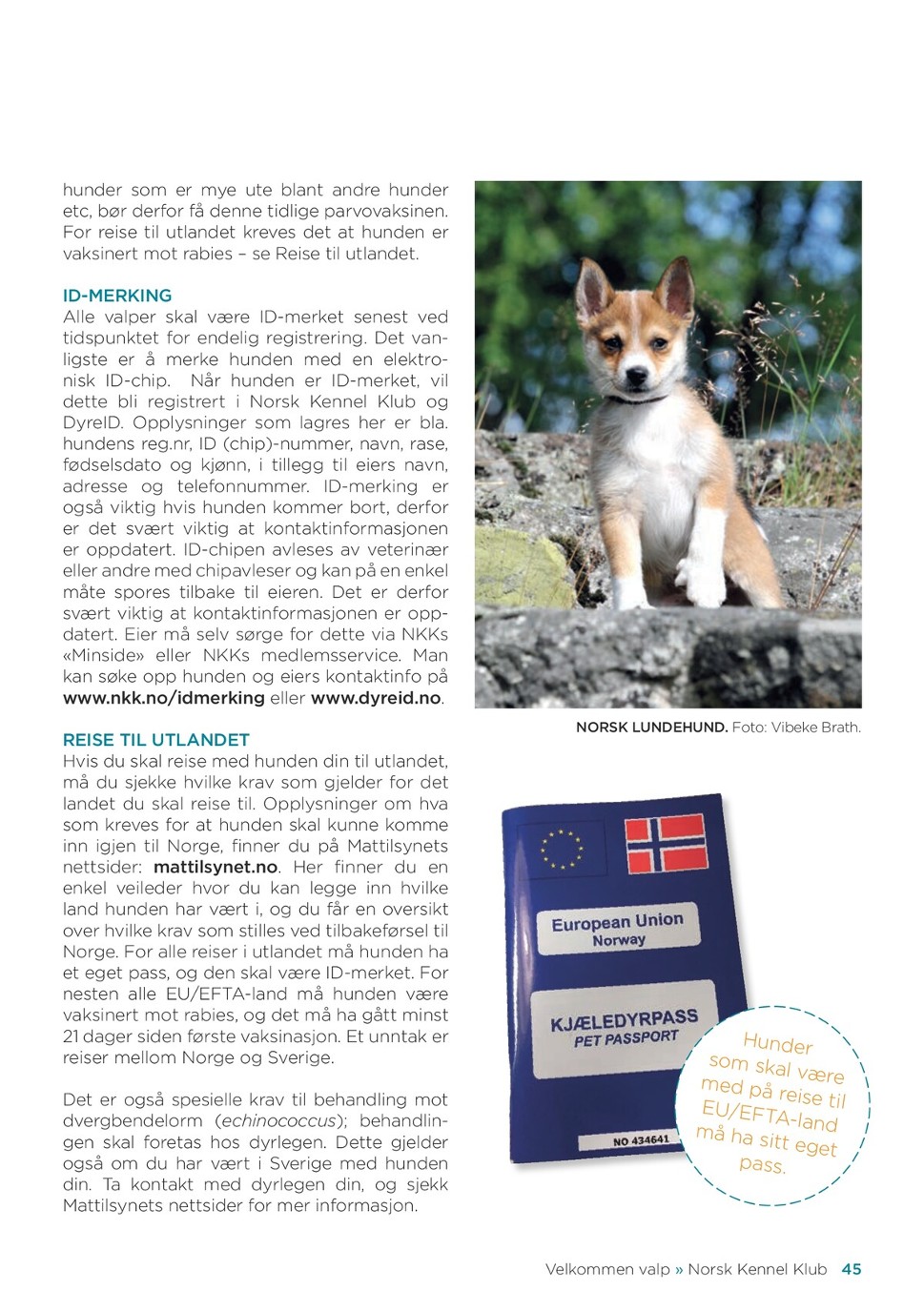 Local cheer teams win honors at competitions : The Prowers Journal, image size:969x1376