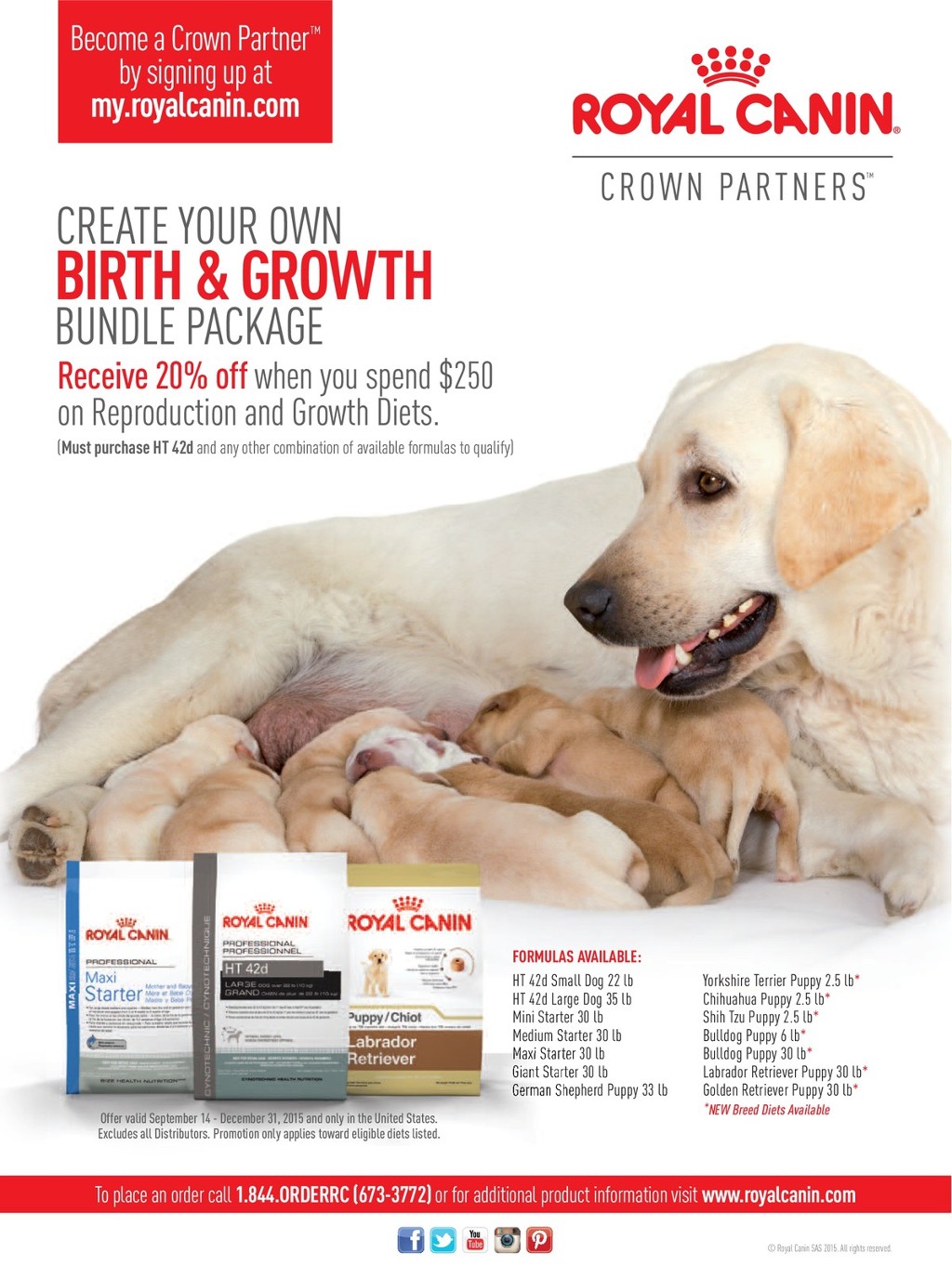 royal canin ht42d small dog