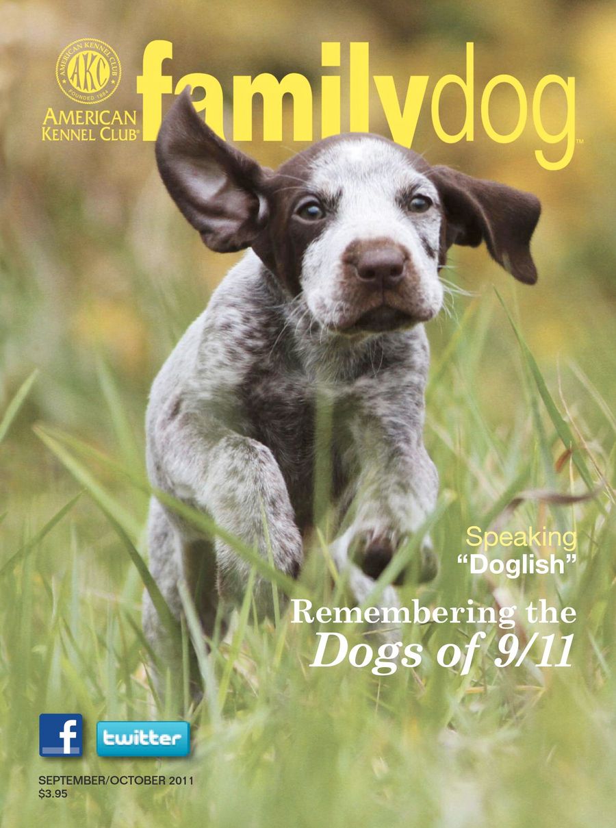 AKC Family Dog Magazine