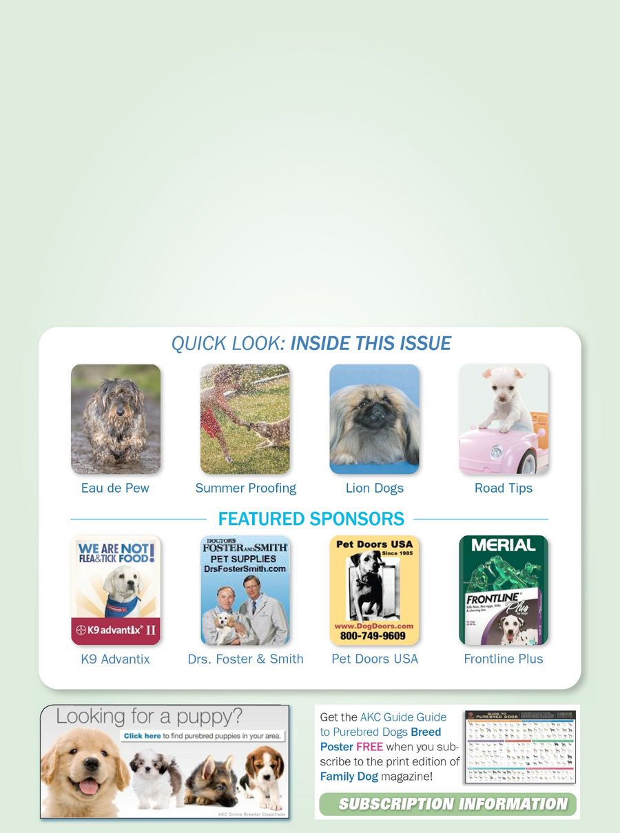 AKC Family Dog Magazine Subscription