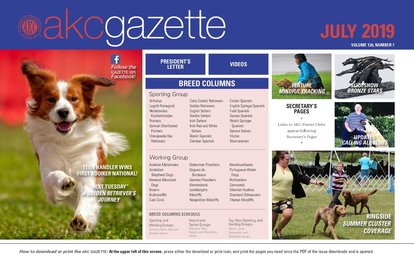 Akc Gazette July 2019