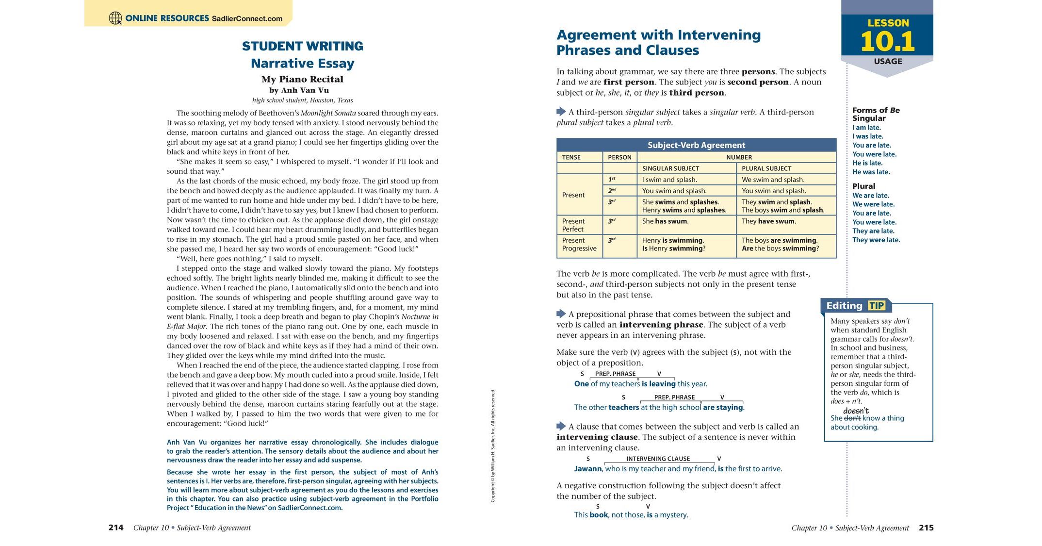 Grammar for Writing, Level Green (Grade 11) Student Edition
