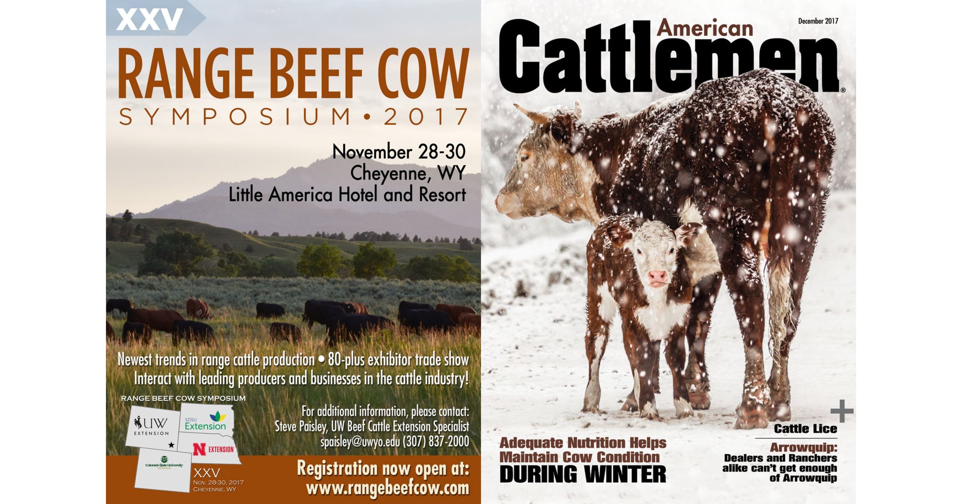 american-cattlemen
