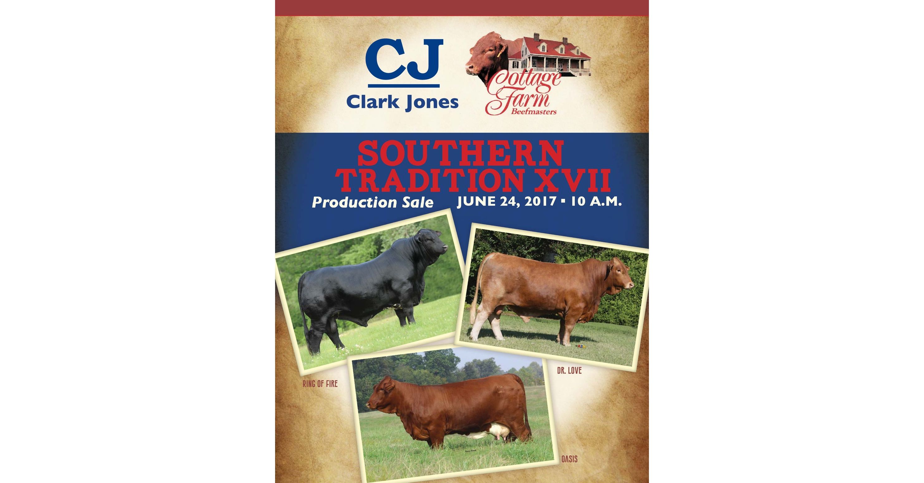 Southern Tradition Xvii Bfm Sale