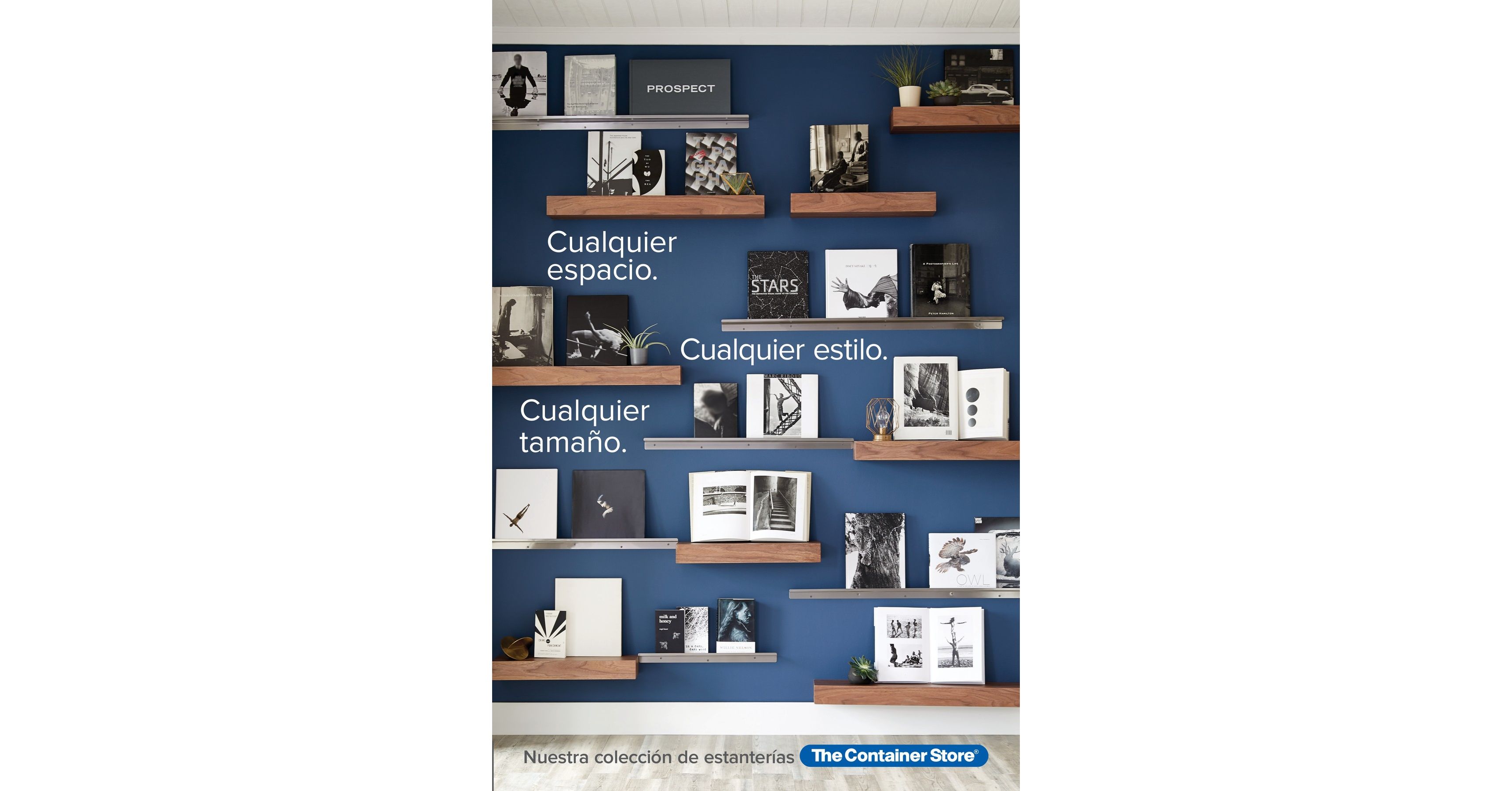 2017_Shelving NonSale_spanish