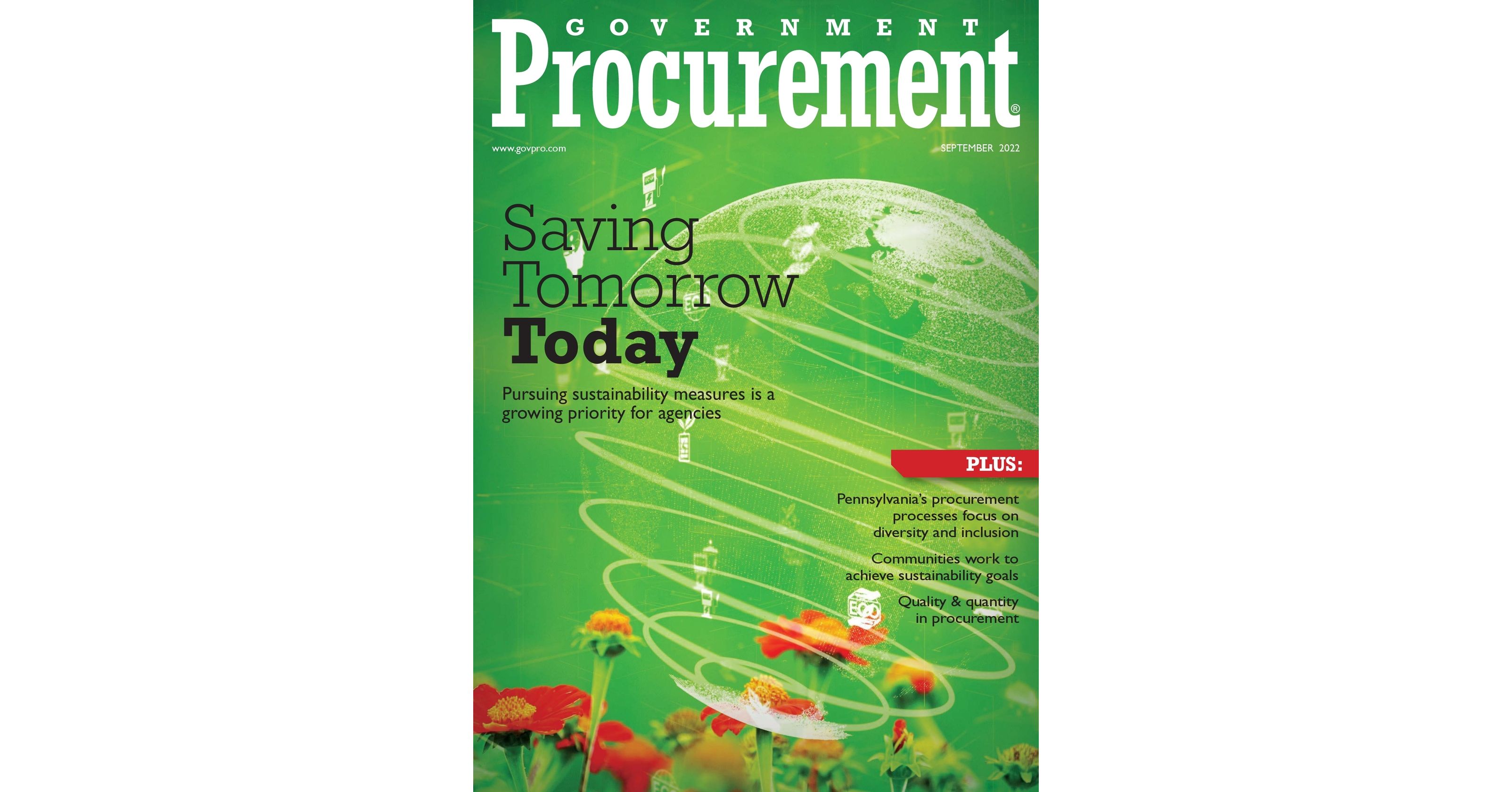 View of The efficiency paradox: bureaucratic and organizational barriers to ...