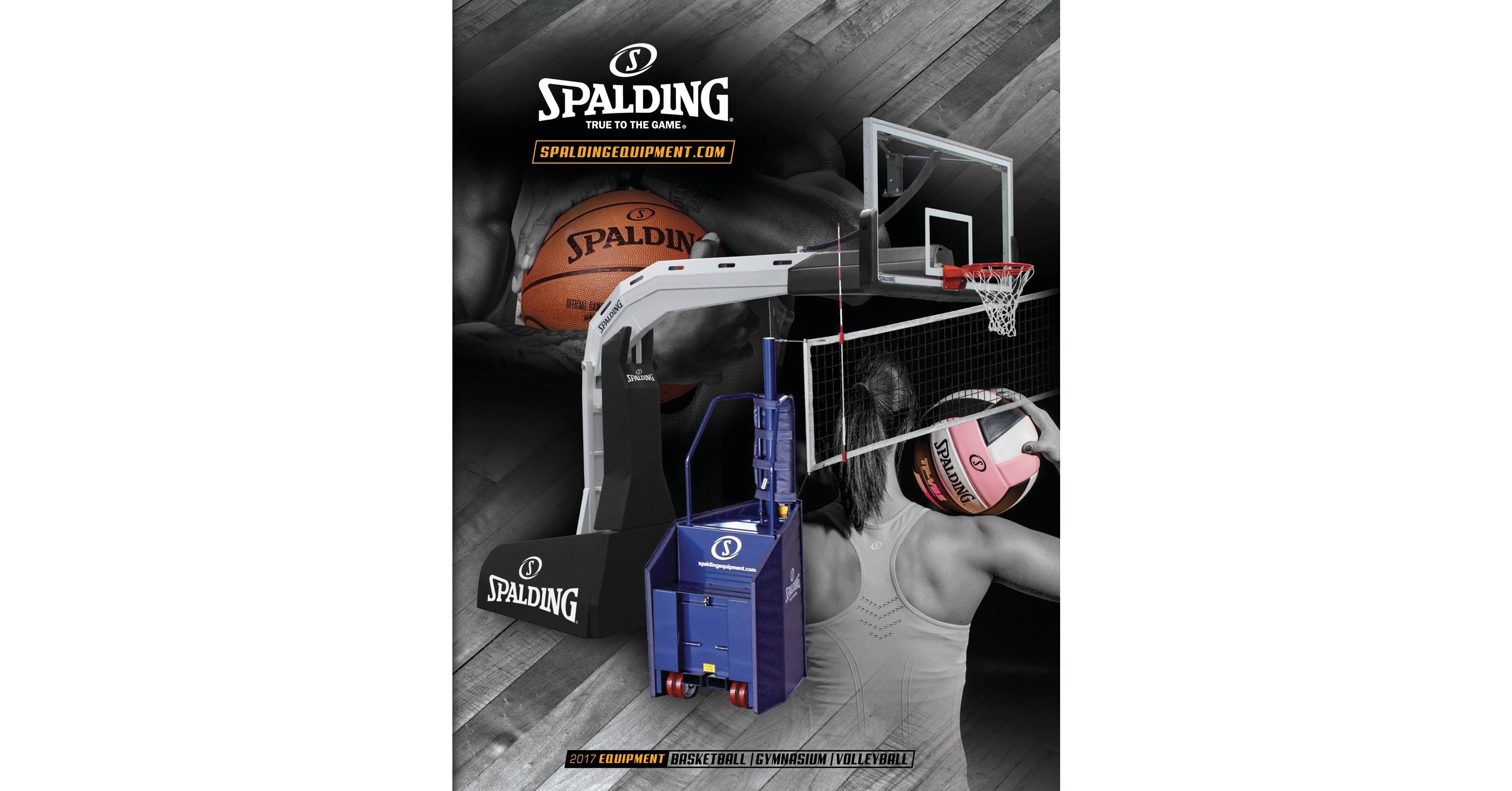 Spalding Arena Renegade Portable Backstop