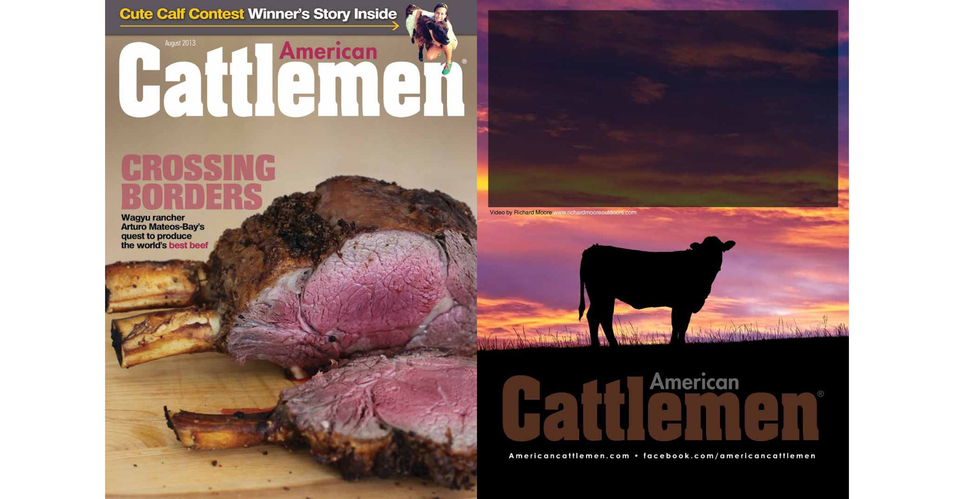 american-cattlemen-august-2013
