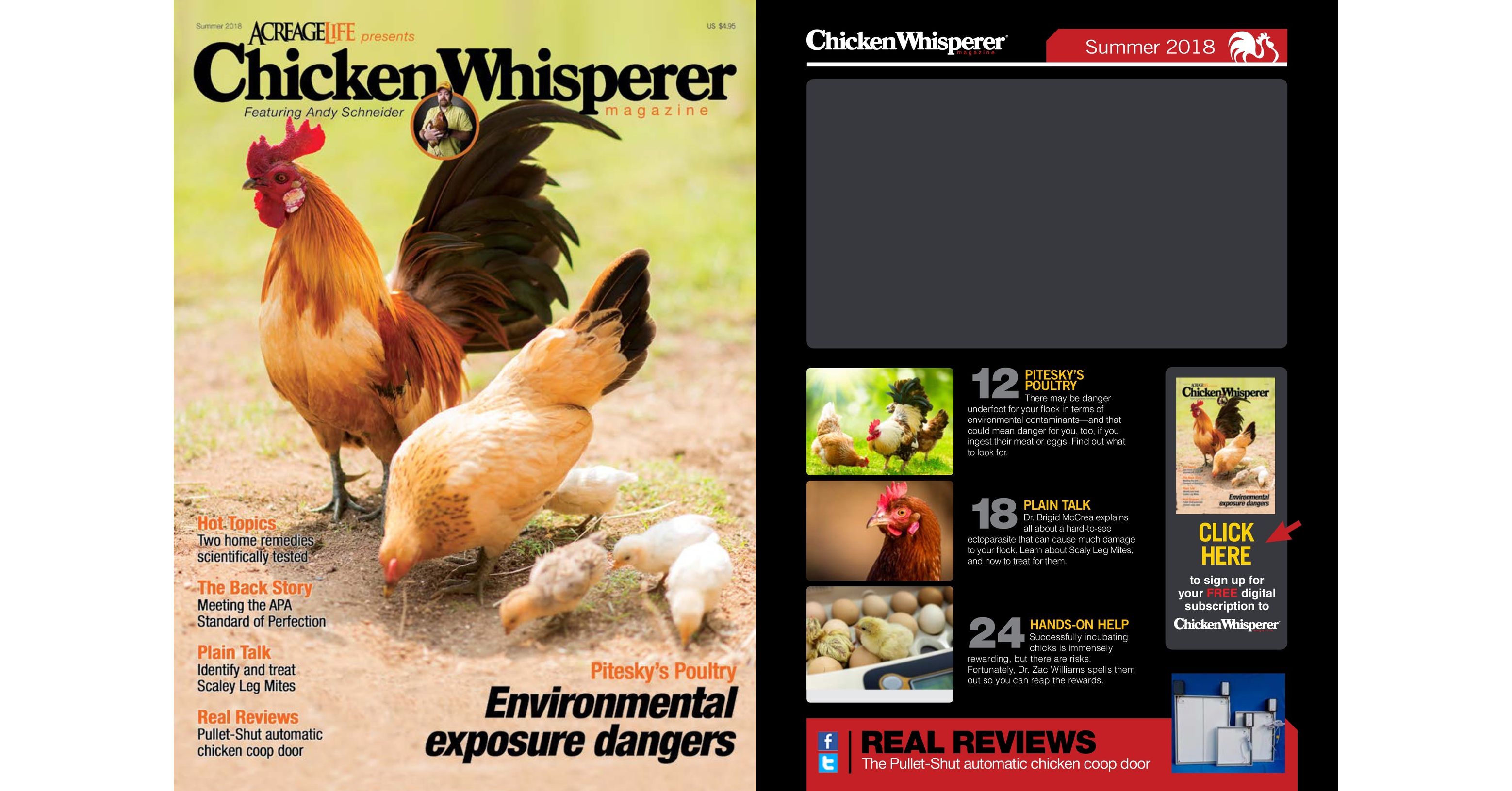 Chicken Whisperer